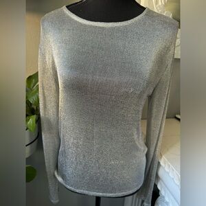 Zara Brand New w/ Tags. Silver sheer top. Size Medium.